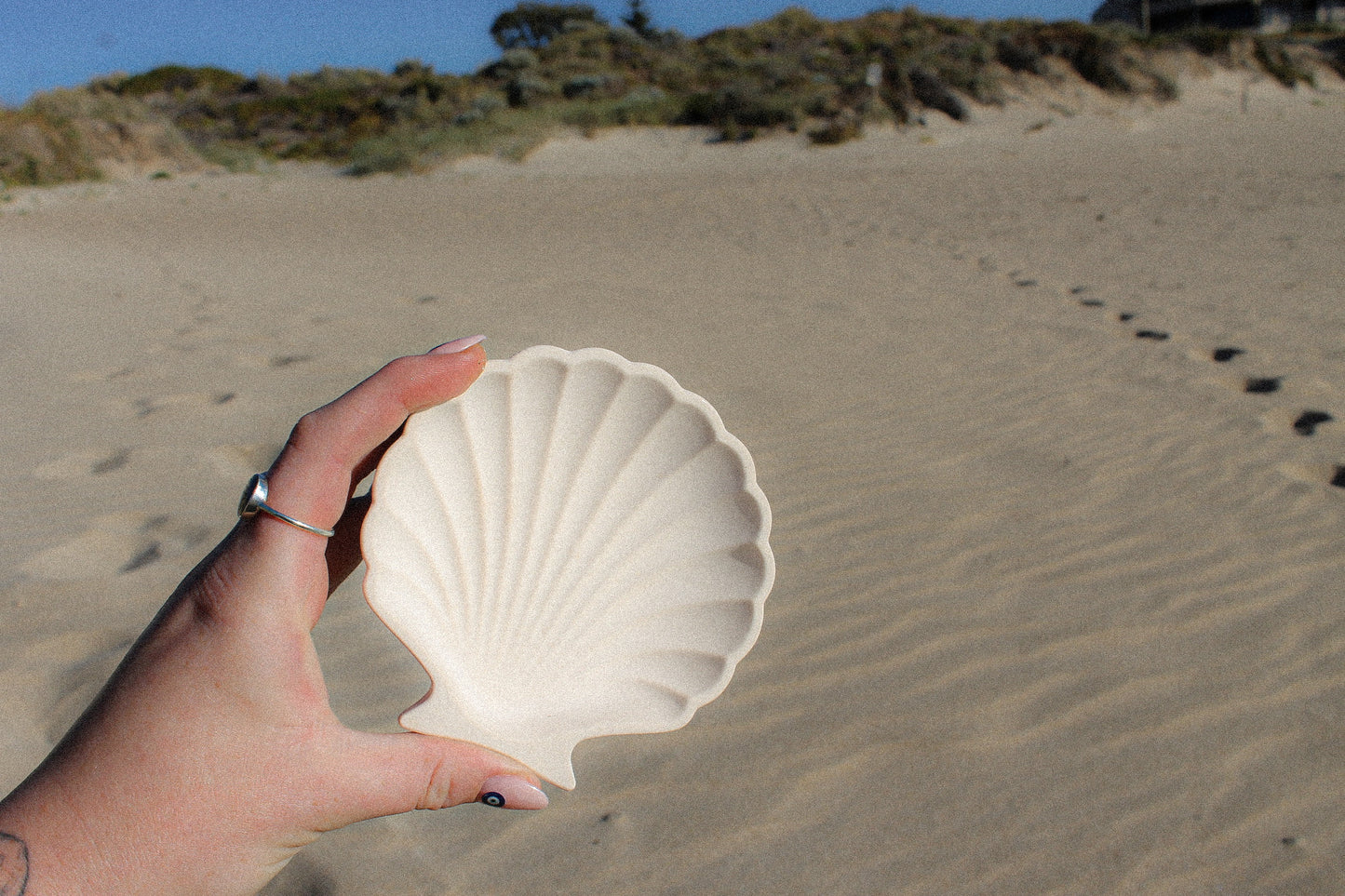 Sea Shell Trinket Tray
