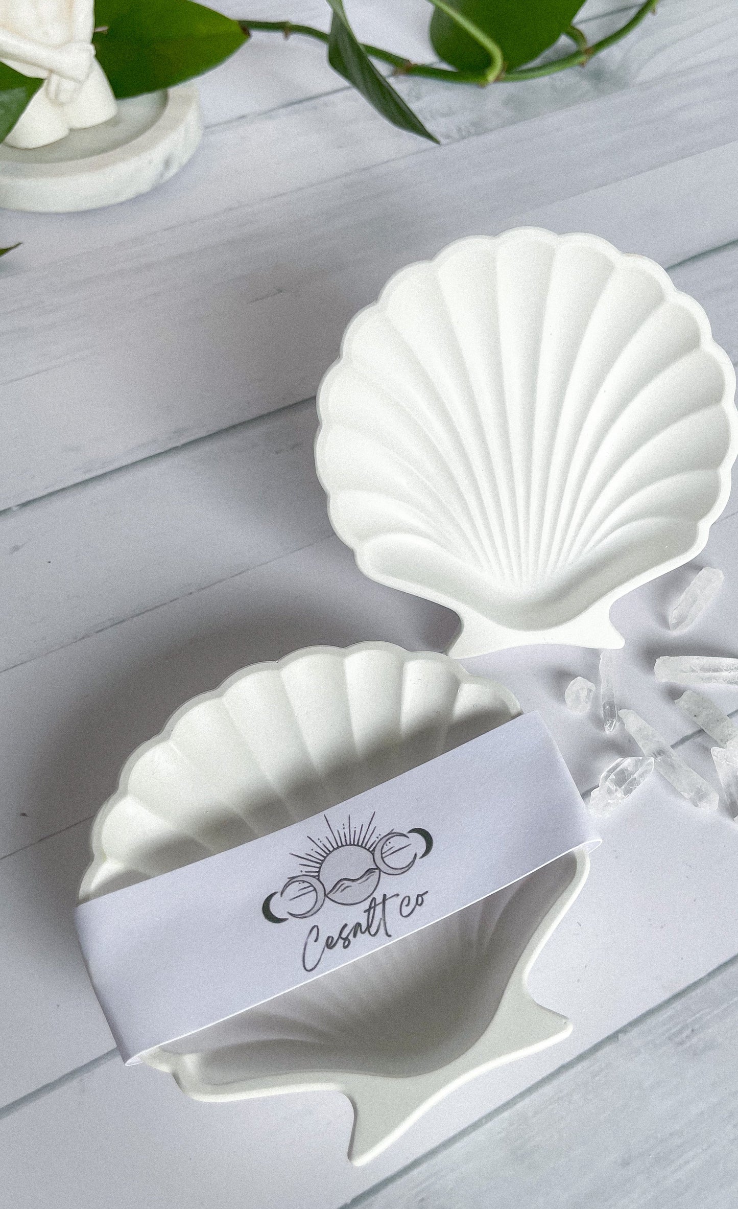 Sea Shell Trinket Tray