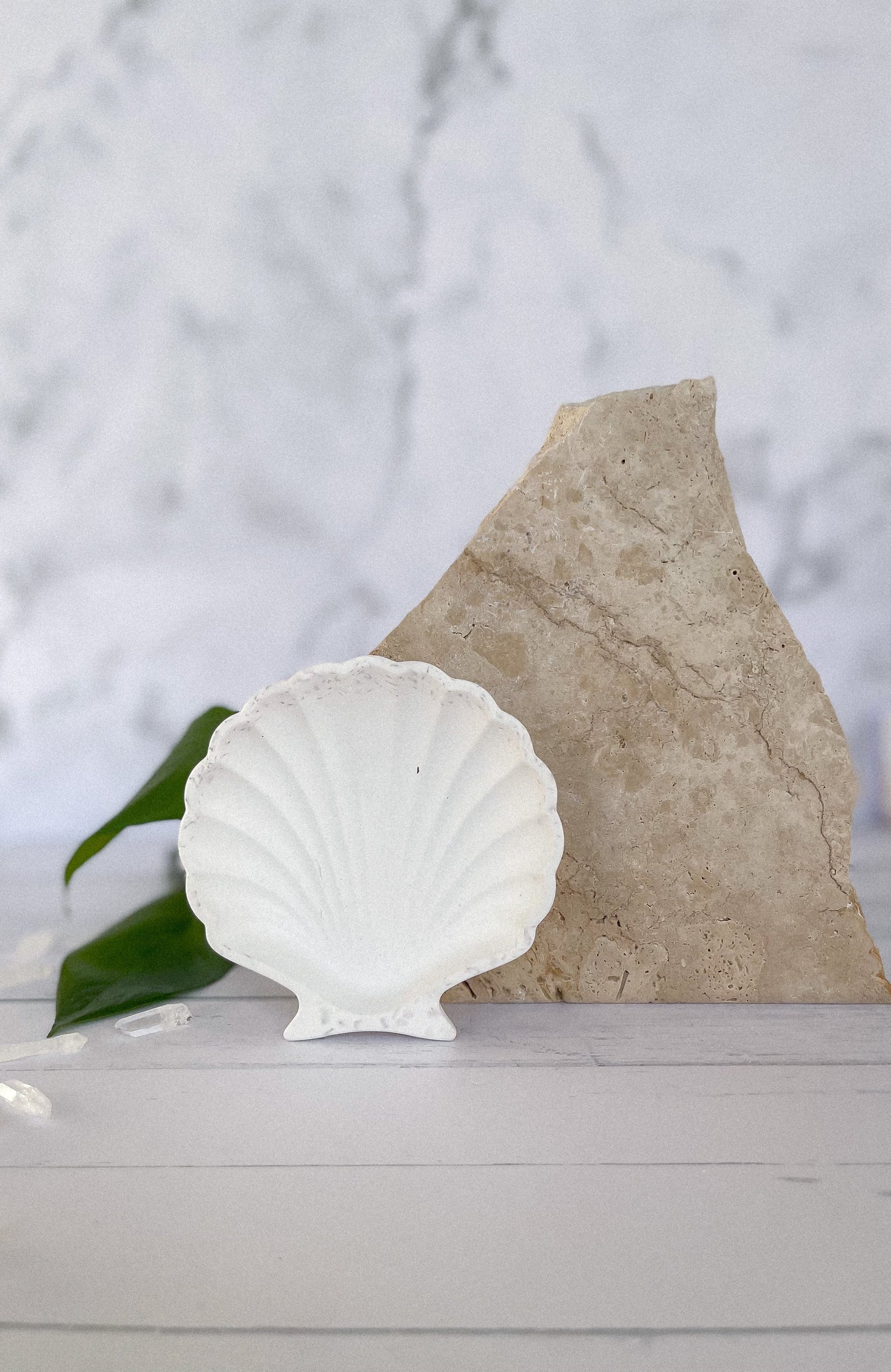 Sea Shell Trinket Tray