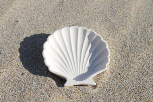 Sea Shell Trinket Tray