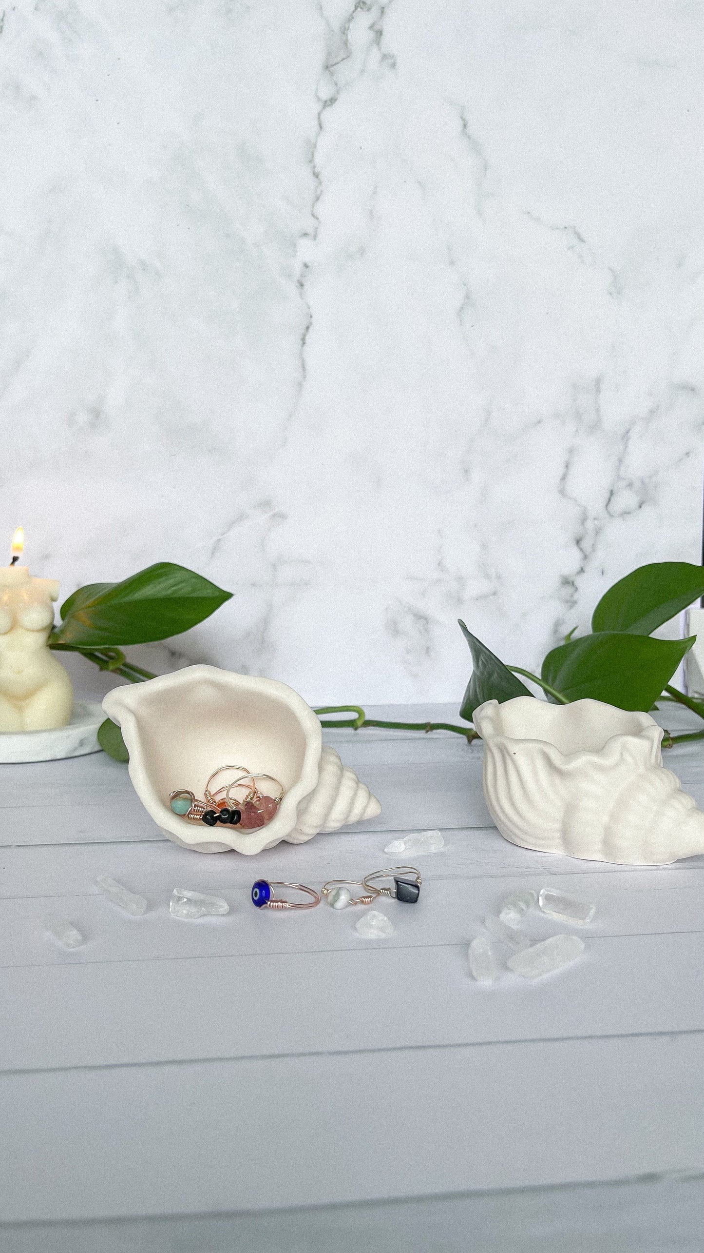 Conch Shell Trinket Tray