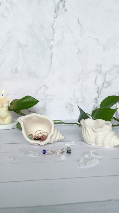 Conch Shell Trinket Tray