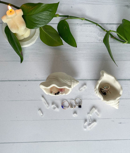 Conch Shell Trinket Tray